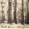 Fratelli Grimm - Cittā profonde Copertina CD Fratelli Grimm Cittā profonde